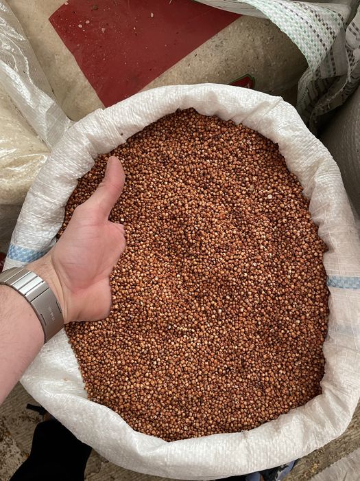 Cereale, seminte,furaje,porumbei,uruiala,sorg,grau,srot,mazare,orz,orzoaica,faina,floarea soarelui,mei,amestec porumbei ,mancare poumbei ,orez,soia,in