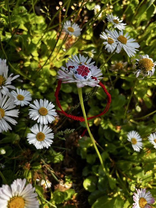 Червен Конец гривна различни елементи