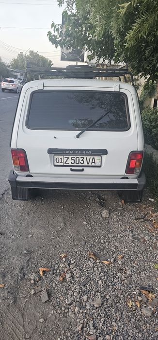 Нива ало холатда