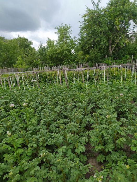 Продам благоустроенную дачу