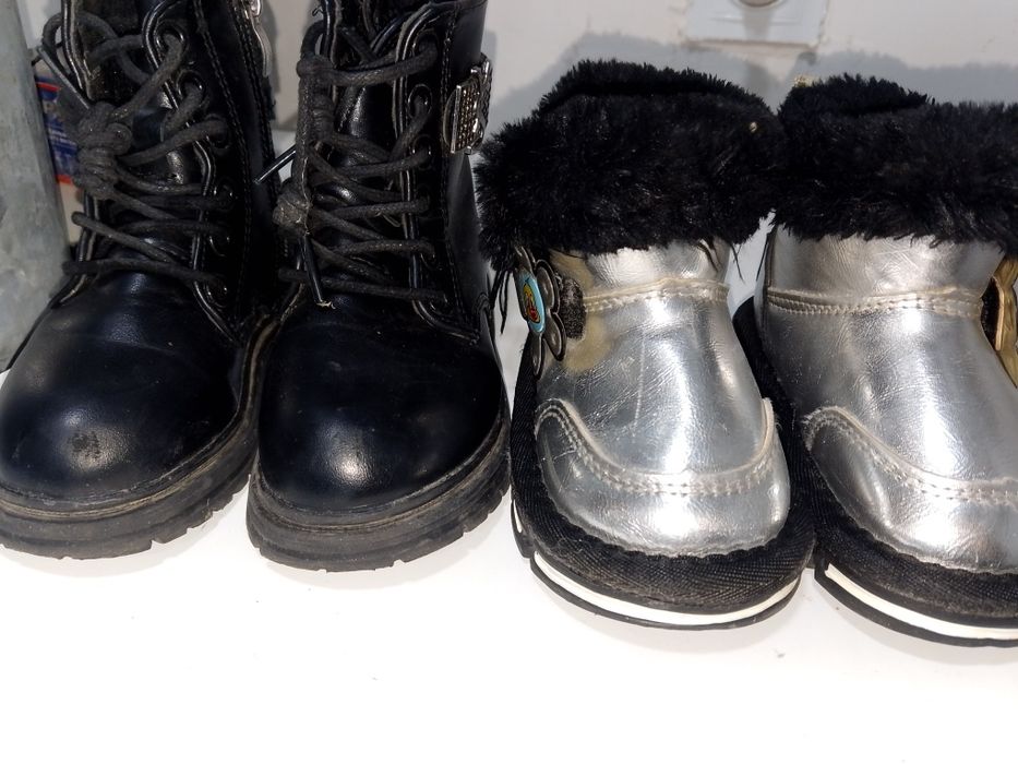 койлек вечерни нови