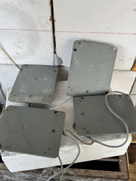 Ceas porumbei TAURIS