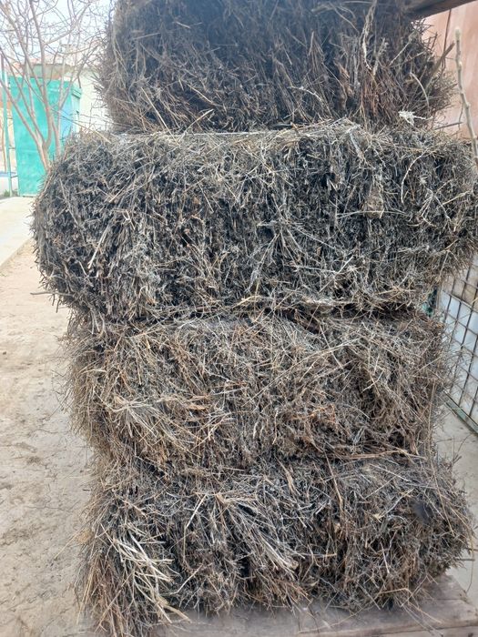 Жусан шоп сатылады