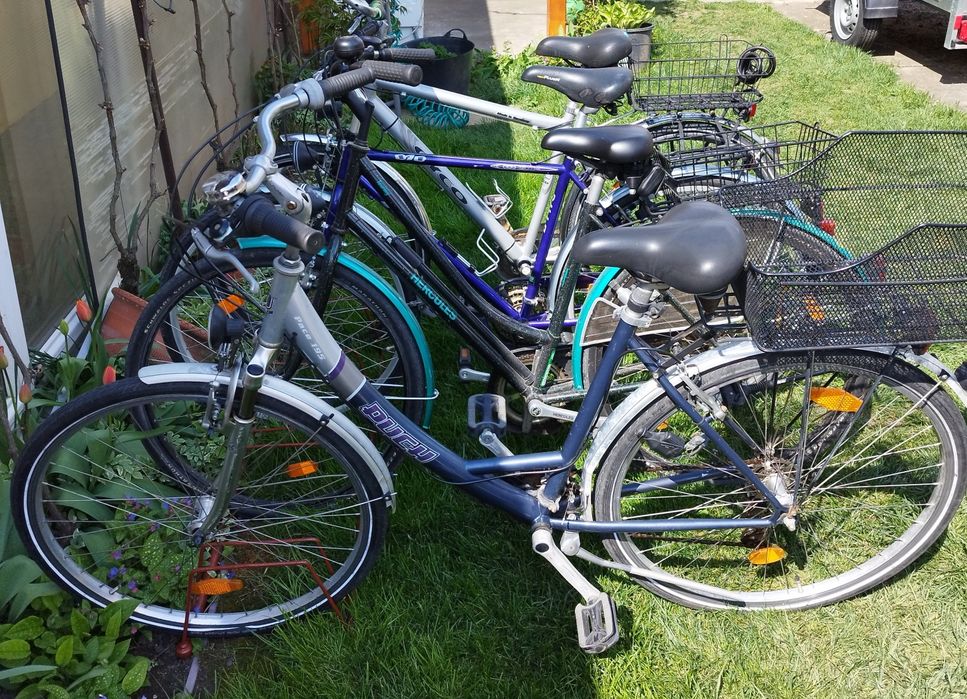 Biciclete damă / bărbați