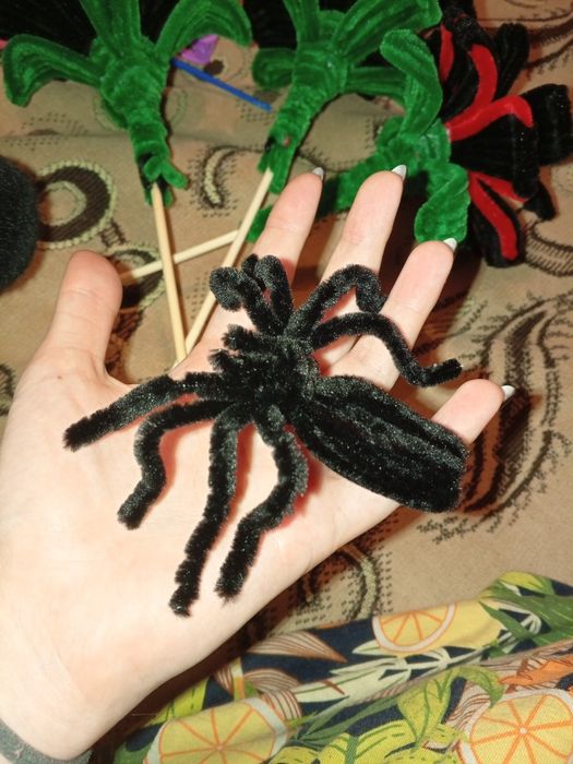 Ненастоящий паучок