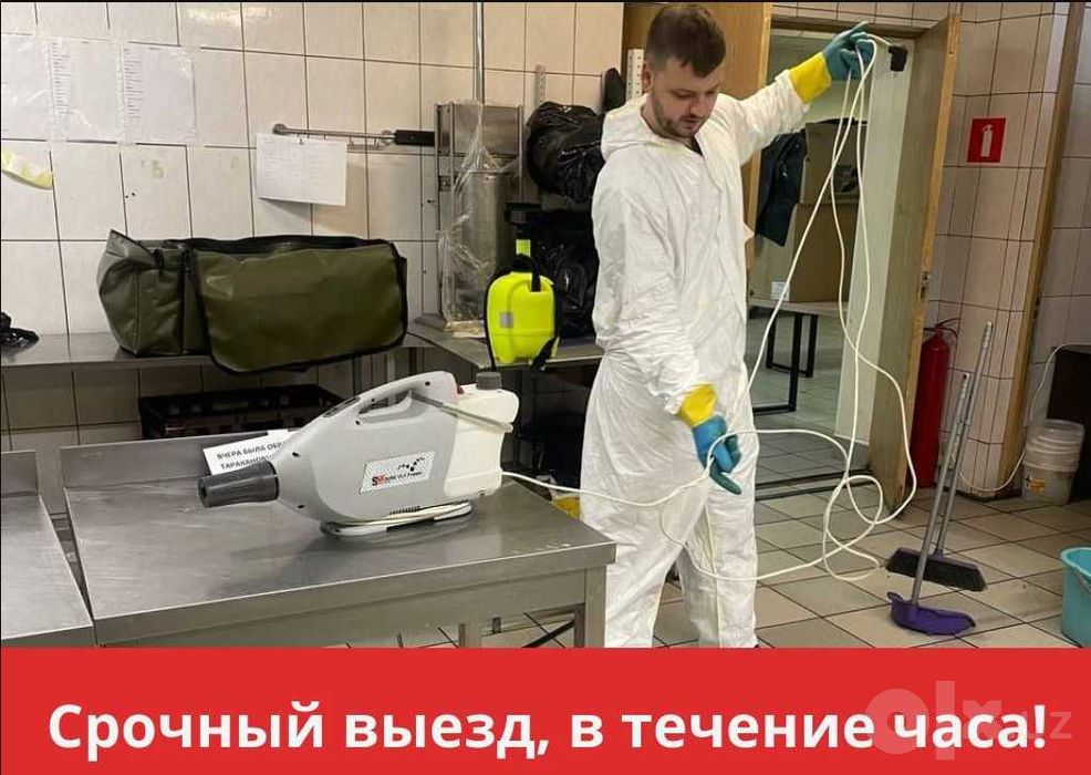 Dezinfeksiya klop klapa tarkan burga chayon ilon mita Дезинфектор Q10
