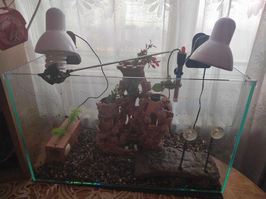 Vând acvariu pentru pestisori