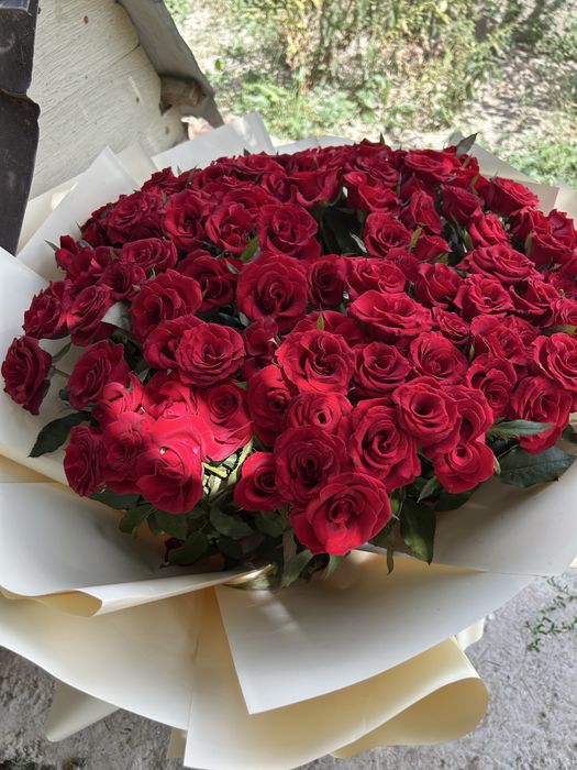 Роза 101 букет цветы