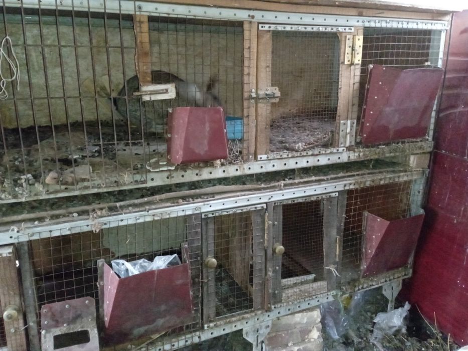 Клетки для животных