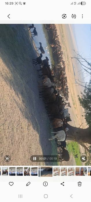 Фазенда сатылады