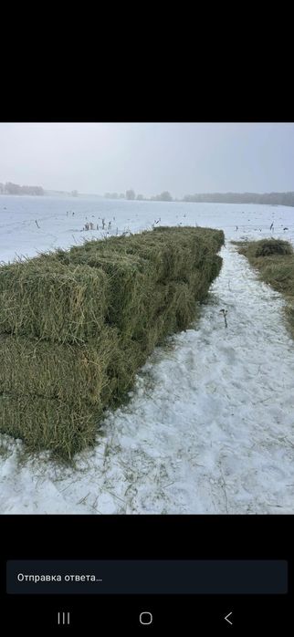 Продам сено в тюках разнотравие