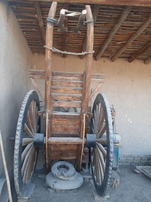 Ot arava holati yaxshi