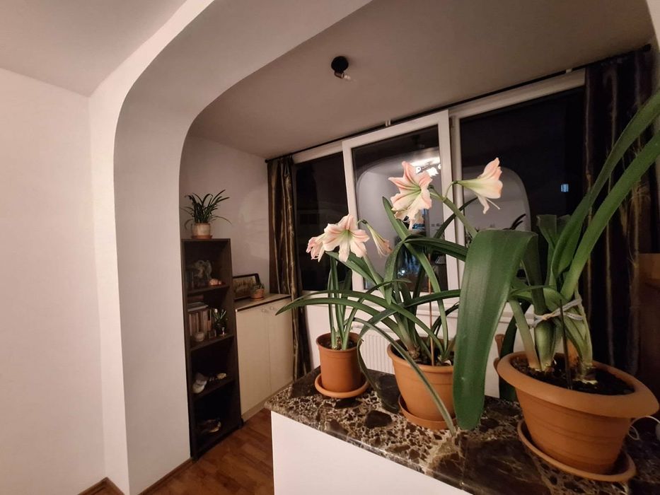 Chirie ap 2 camere Floresti