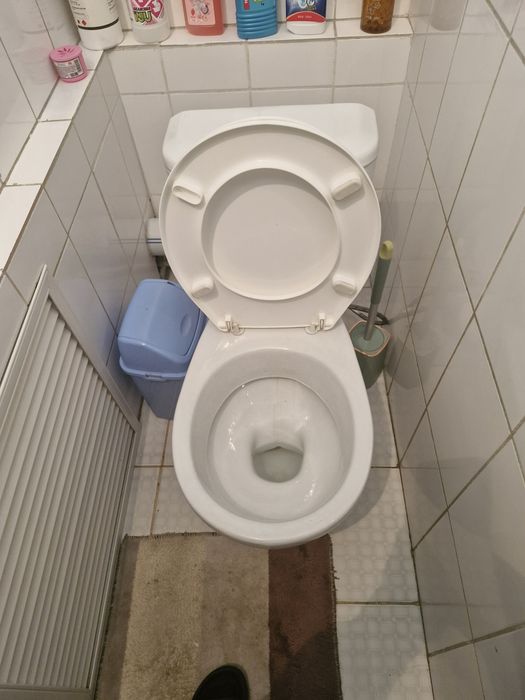 Унитаз для туалета