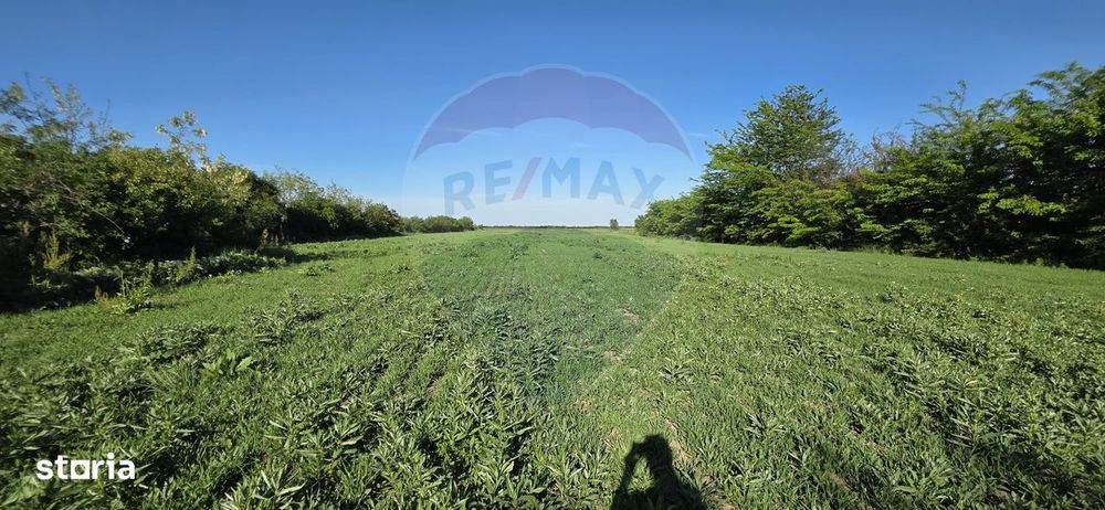 Teren de vanzare – 9458 mp – Bujoreanca Comuna Cornesti