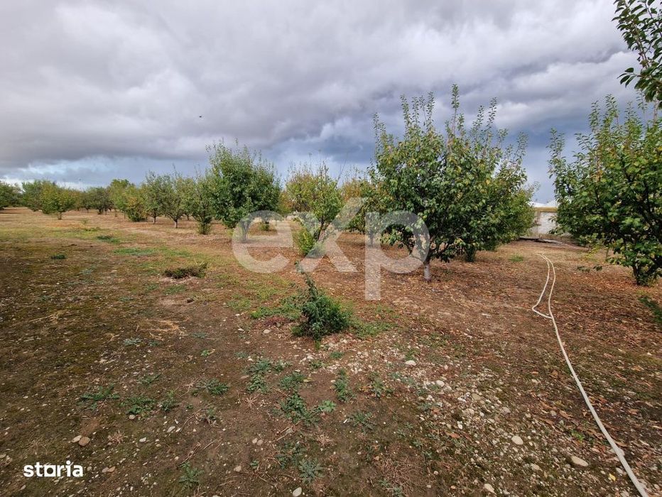 Teren de vanzare  intravilan 660 mp + 1500 livada  Racovita (DB)