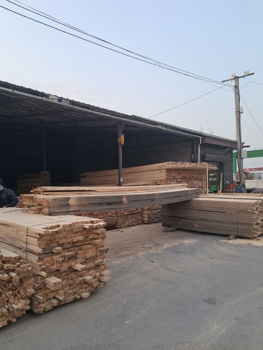 Дерево сосны продаю