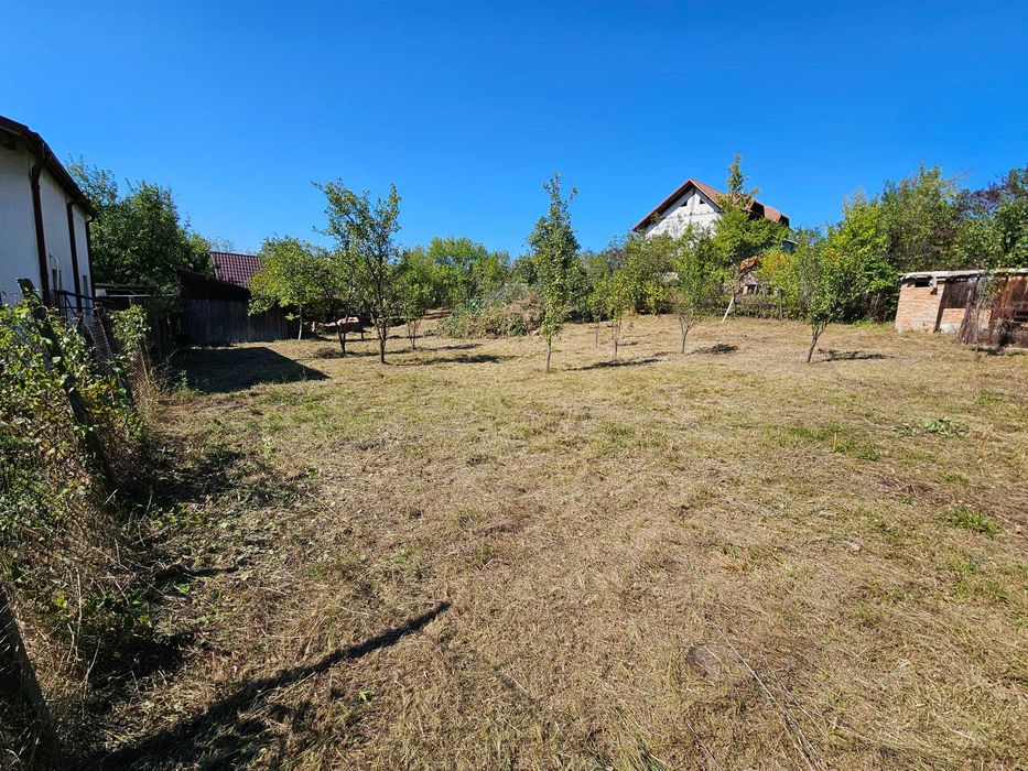 Teren si cabana de vacanta de vânzare in Fedelesoiu la 60.000
