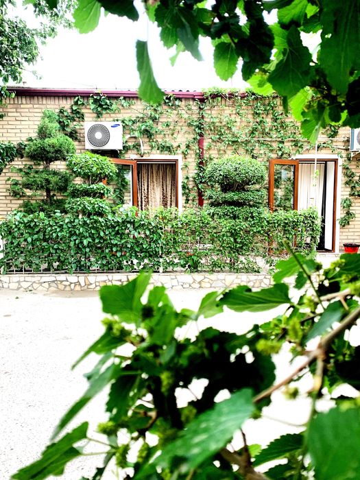 Хостел “атмосфера»