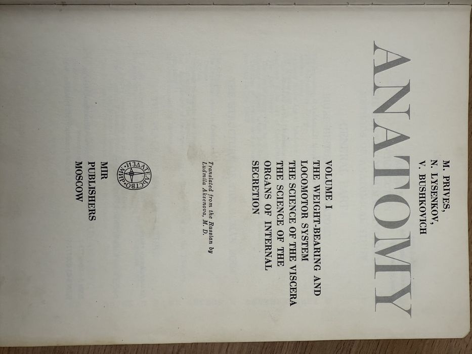 Human anatomy анатомия человека