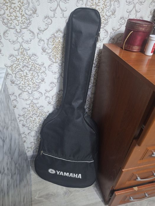 Классическая гитара Aghetha