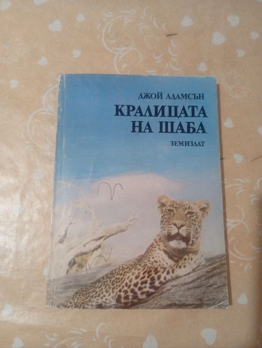 Децки книги за дечица