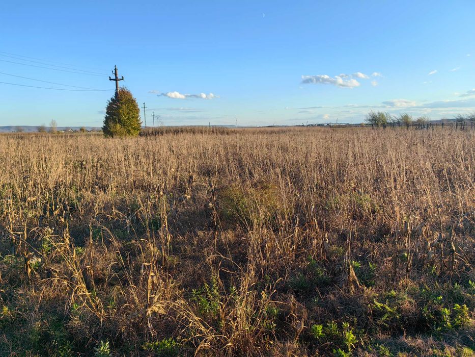 Teren intravilan 950mp (loc de casa)