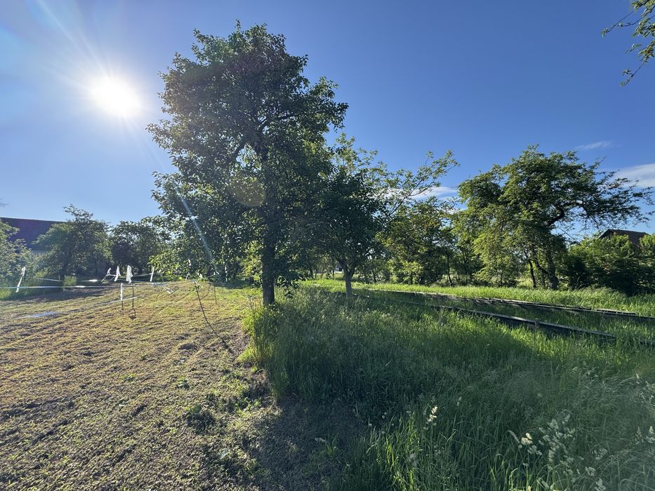 Teren intravilan 3000 mp – CENTRU Budila
