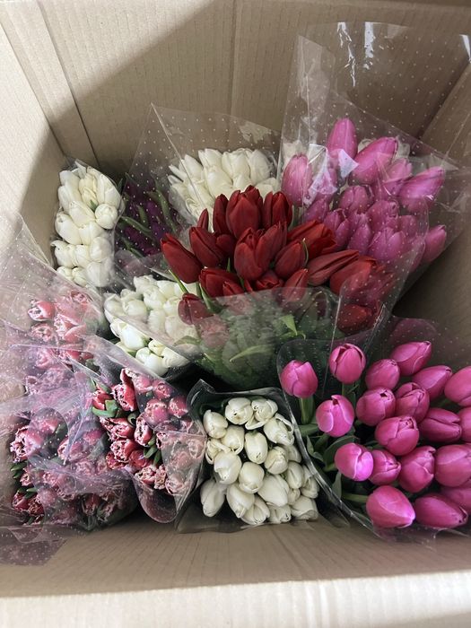 оптом тюльпан сатылады