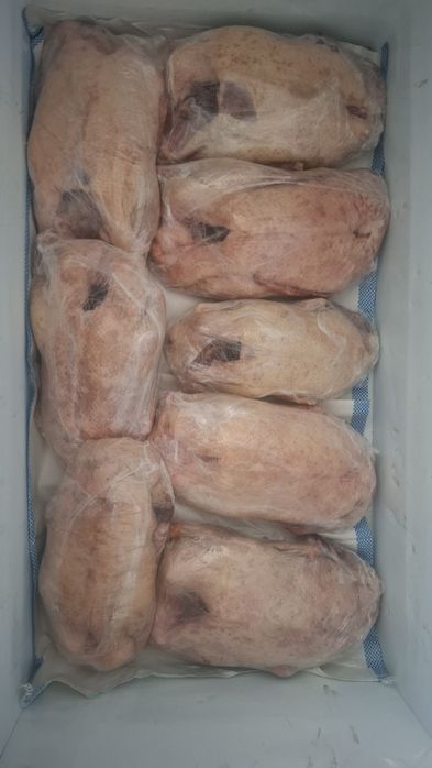 В наличии утки домашние