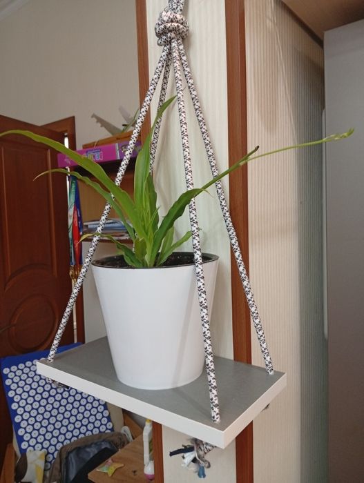 Подвесная полка для цветов(хлорофитум в подарок)!