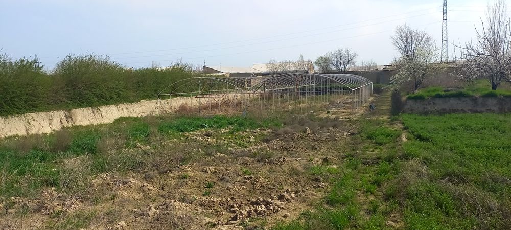 Yer sotiladi issiqxonasi bilan