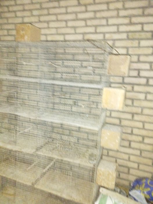 Клетка 5 етажли  сотилади 10 та кодок