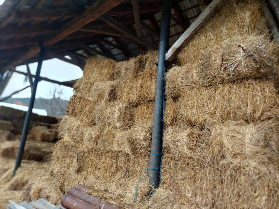 Baloți de făn de vănzare