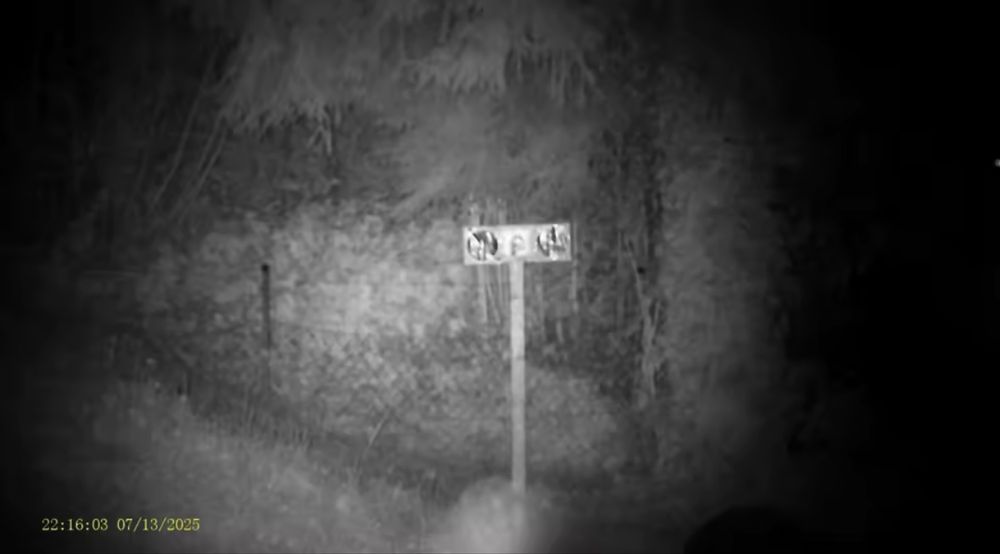 Нощно виждане прицел