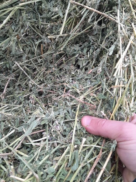 Предлагаме сено големи бали двоен размер