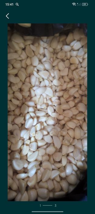 Чеснок очищенный