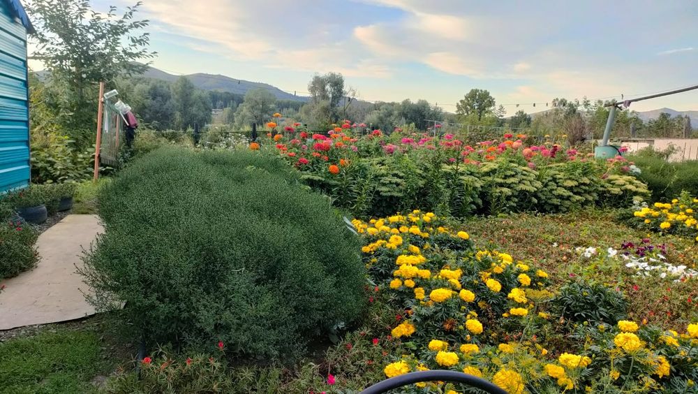 Продам дом с. Бобровка