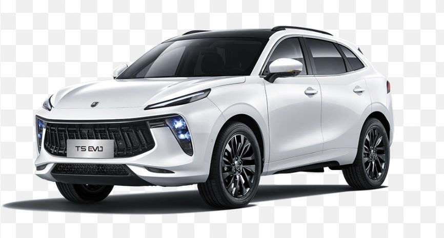 Брызговики Hongqi Venucia Jetour Dongfeng