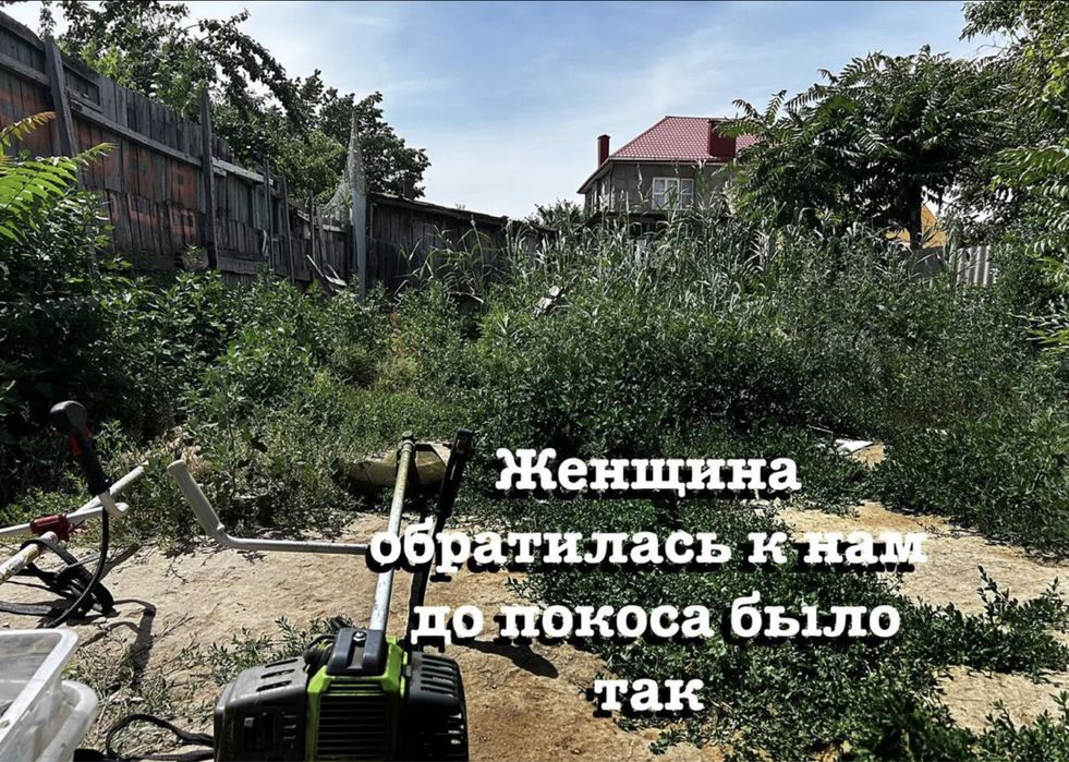 Покос травы. Газон стрижка. Спил деревьев. Садовник. Ловт стил