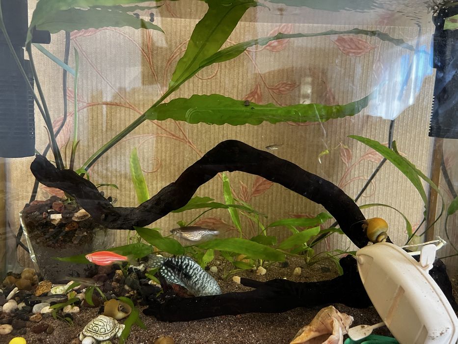 Продам аквариум или обмен