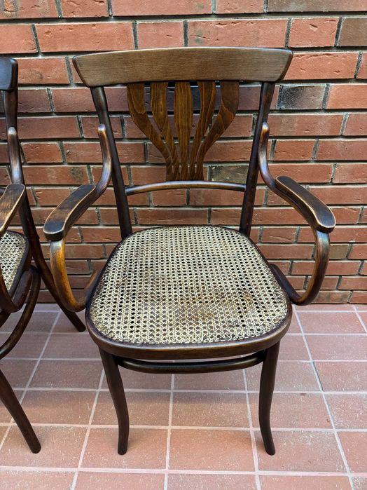 Столове с подлакътници Mundus, Vienna Secesion 1910'