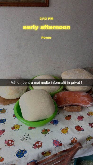 Vand produse animaliere , cas , branza , telemea