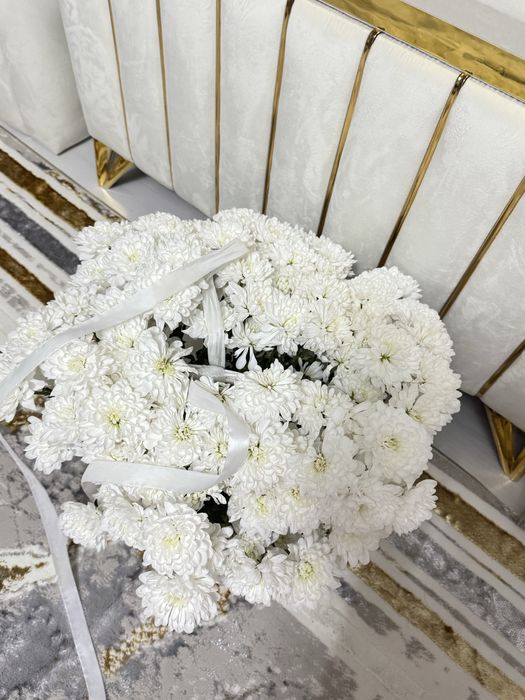 Цветы хризантема