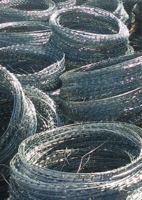 Егоза. Егоза. Egoza.