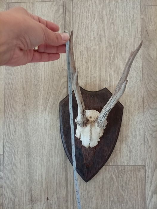 Decorațiune de perete