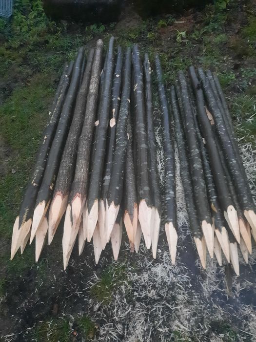 Pari pentru vie ,  rosii sau fasole  / Stâlpi gard electric / Araci