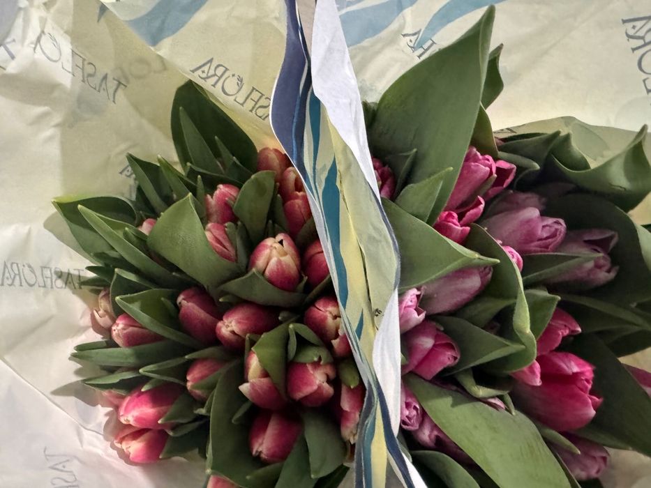 тюльпаны оптом и в розницу