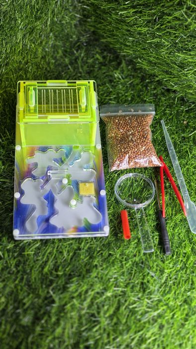 Муравьиная ферма! АЛМАТЫ