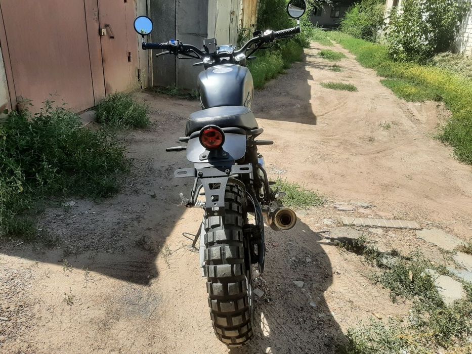 Daytona Scrambler 250